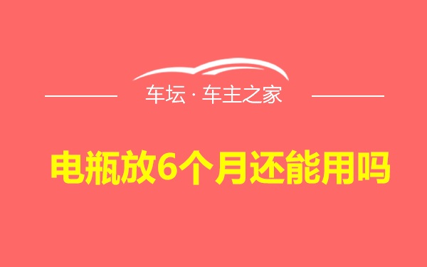 电瓶放6个月还能用吗