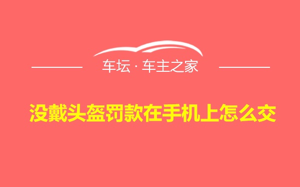 没戴头盔罚款在手机上怎么交