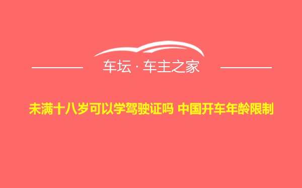 未满十八岁可以学驾驶证吗 中国开车年龄限制