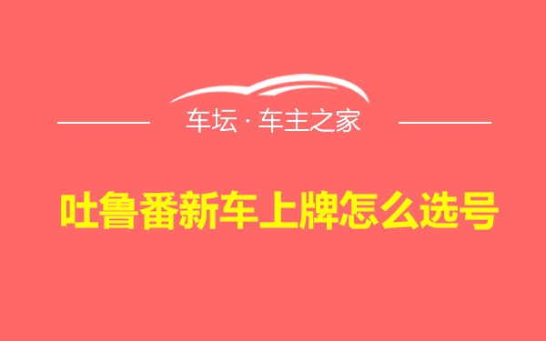 吐鲁番新车上牌怎么选号