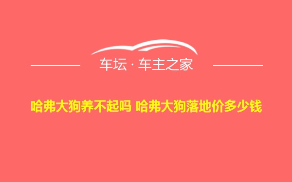 哈弗大狗养不起吗 哈弗大狗落地价多少钱