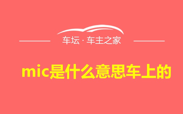 mic是什么意思车上的