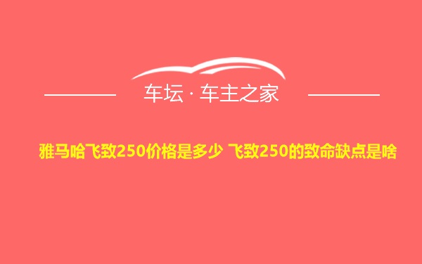 雅马哈飞致250价格是多少 飞致250的致命缺点是啥