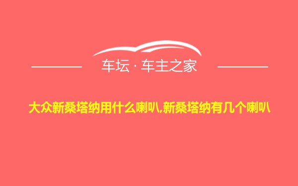 大众新桑塔纳用什么喇叭,新桑塔纳有几个喇叭