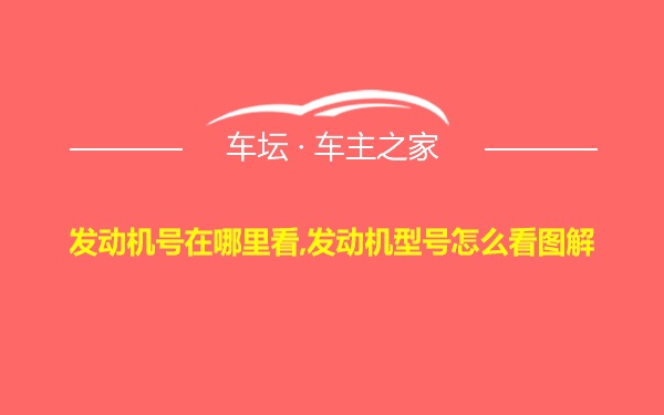 发动机号在哪里看,发动机型号怎么看图解