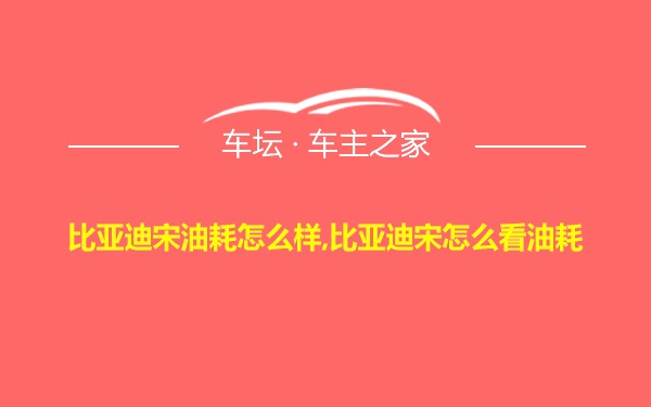 比亚迪宋油耗怎么样,比亚迪宋怎么看油耗