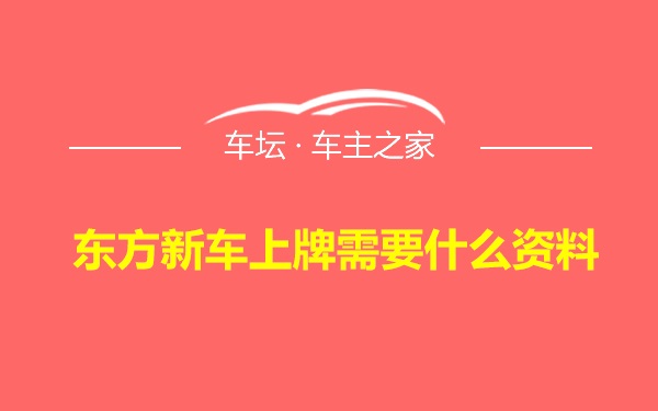 东方新车上牌需要什么资料