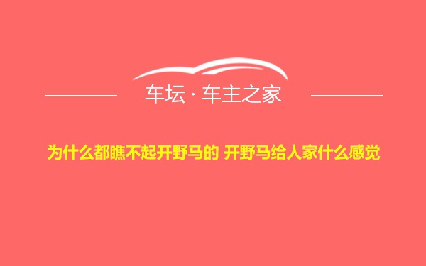 为什么都瞧不起开野马的 开野马给人家什么感觉