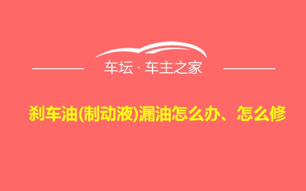 刹车油(制动液)漏油怎么办、怎么修