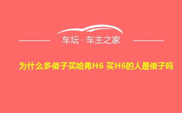 为什么多傻子买哈弗H6 买H6的人是傻子吗