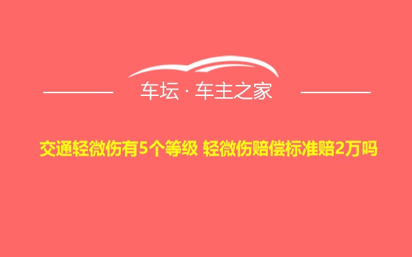 交通轻微伤有5个等级 轻微伤赔偿标准赔2万吗