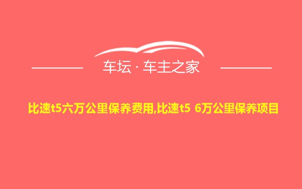 比速t5六万公里保养费用,比速t5 6万公里保养项目