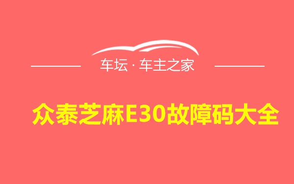 众泰芝麻E30故障码大全