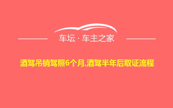 酒驾吊销驾照6个月,酒驾半年后取证流程