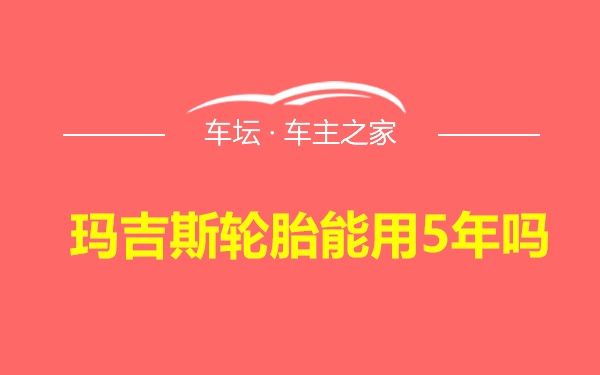 玛吉斯轮胎能用5年吗