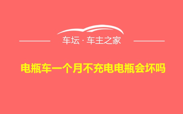 电瓶车一个月不充电电瓶会坏吗