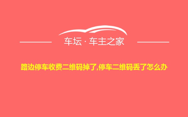 路边停车收费二维码掉了,停车二维码丢了怎么办