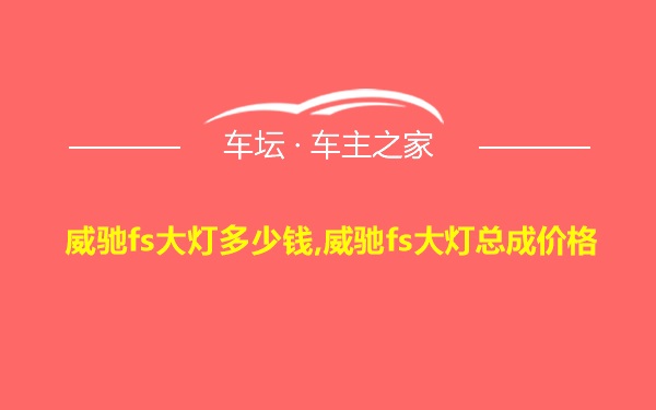 威驰fs大灯多少钱,威驰fs大灯总成价格