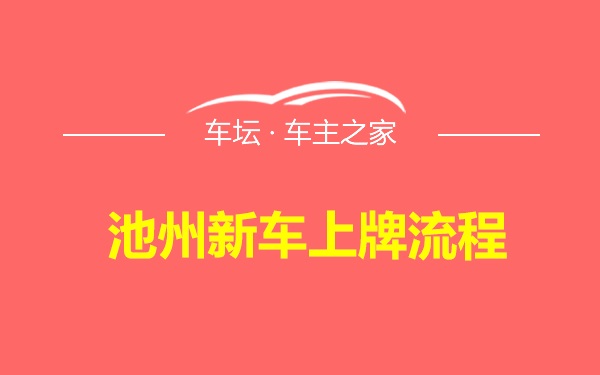 池州新车上牌流程