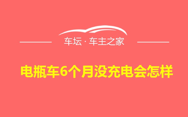 电瓶车6个月没充电会怎样