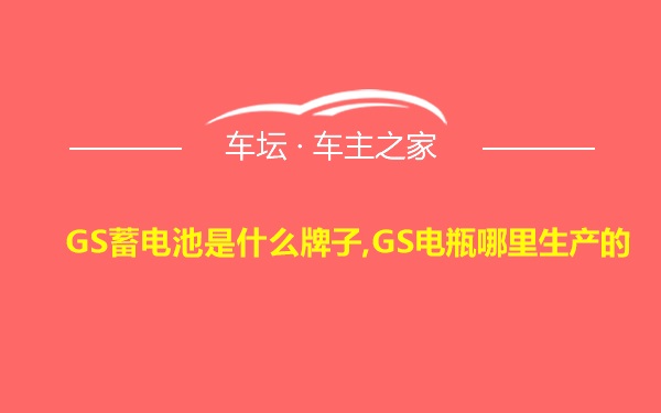 GS蓄电池是什么牌子,GS电瓶哪里生产的