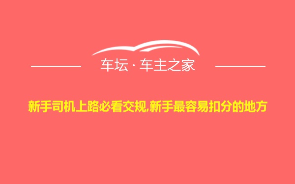 新手司机上路必看交规,新手最容易扣分的地方