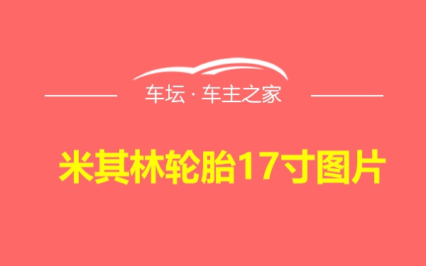 米其林轮胎17寸图片