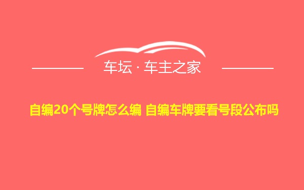 自编20个号牌怎么编 自编车牌要看号段公布吗