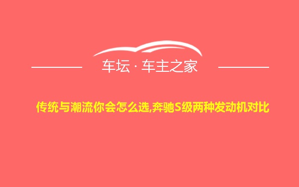 传统与潮流你会怎么选,奔驰S级两种发动机对比