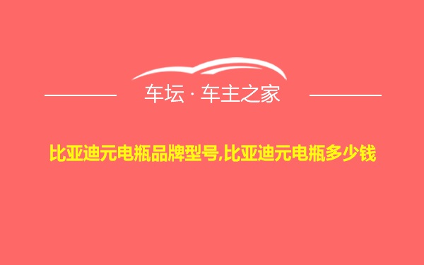 比亚迪元电瓶品牌型号,比亚迪元电瓶多少钱