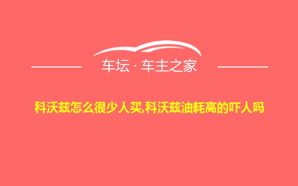 科沃兹怎么很少人买,科沃兹油耗高的吓人吗