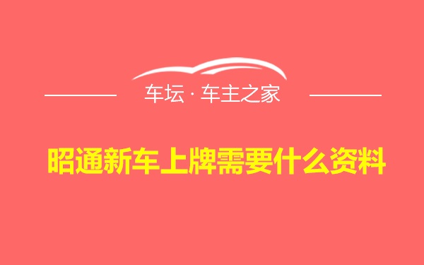 昭通新车上牌需要什么资料