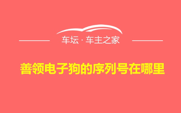 善领电子狗的序列号在哪里