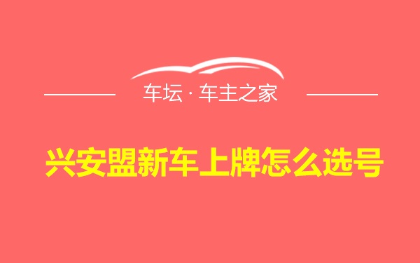 兴安盟新车上牌怎么选号