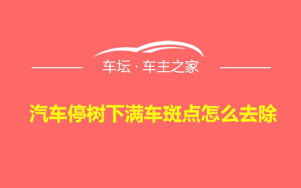 汽车停树下满车斑点怎么去除