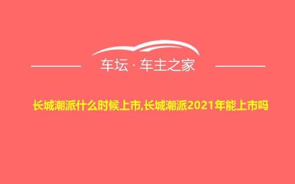 长城潮派什么时候上市,长城潮派2021年能上市吗