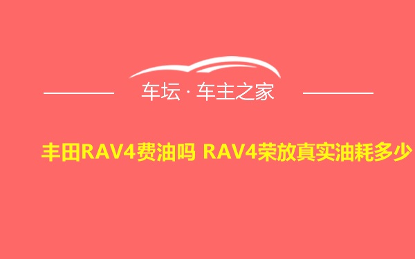 丰田RAV4费油吗 RAV4荣放真实油耗多少