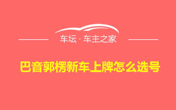 巴音郭楞新车上牌怎么选号