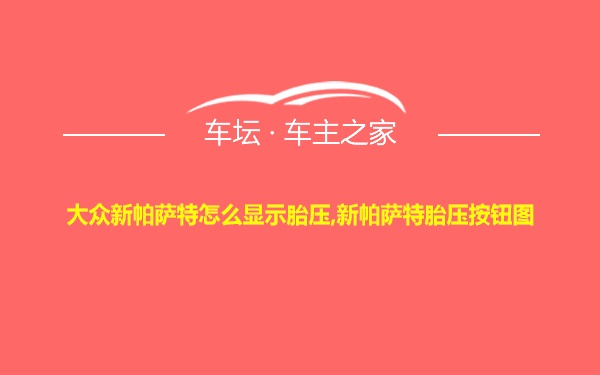 大众新帕萨特怎么显示胎压,新帕萨特胎压按钮图