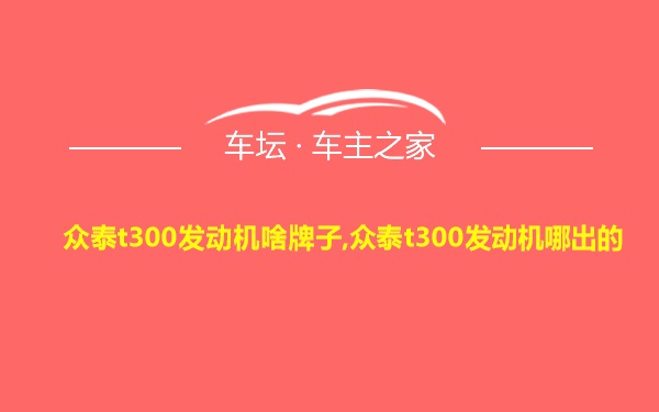 众泰t300发动机啥牌子,众泰t300发动机哪出的