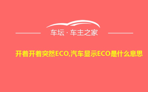 开着开着突然ECO,汽车显示ECO是什么意思