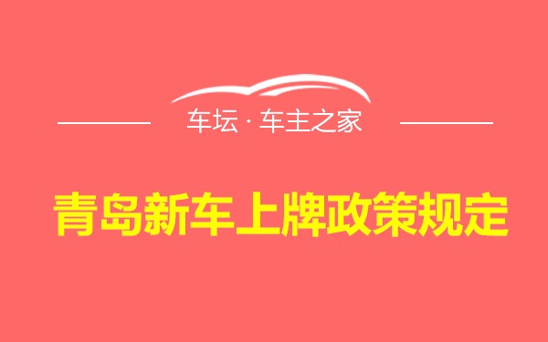 青岛新车上牌政策规定