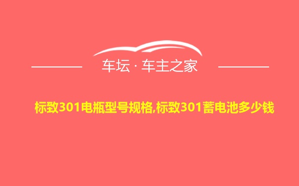 标致301电瓶型号规格,标致301蓄电池多少钱