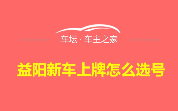 益阳新车上牌怎么选号