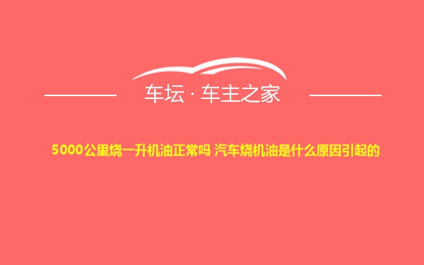 5000公里烧一升机油正常吗 汽车烧机油是什么原因引起的