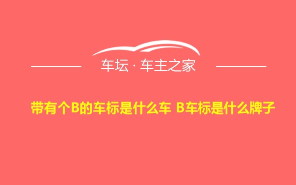 带有个B的车标是什么车 B车标是什么牌子