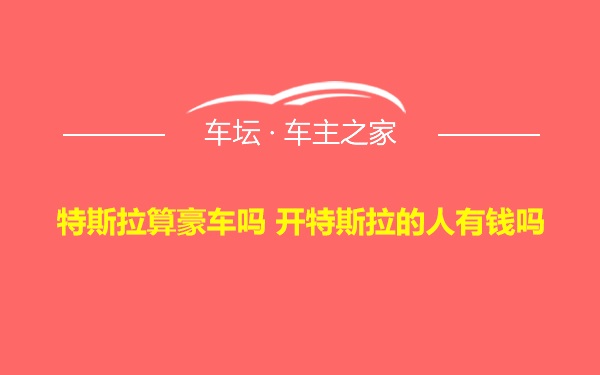 特斯拉算豪车吗 开特斯拉的人有钱吗