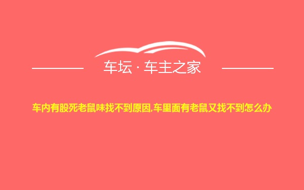 车内有股死老鼠味找不到原因,车里面有老鼠又找不到怎么办