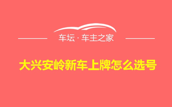 大兴安岭新车上牌怎么选号