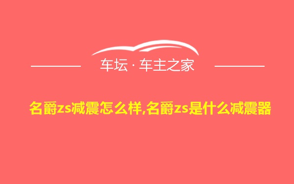 名爵zs减震怎么样,名爵zs是什么减震器